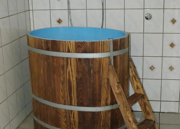 Hotel Gemuendener Hof 2*